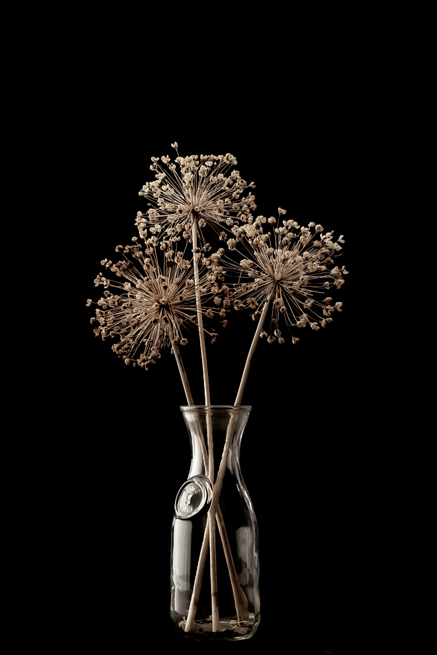 still life (classic)