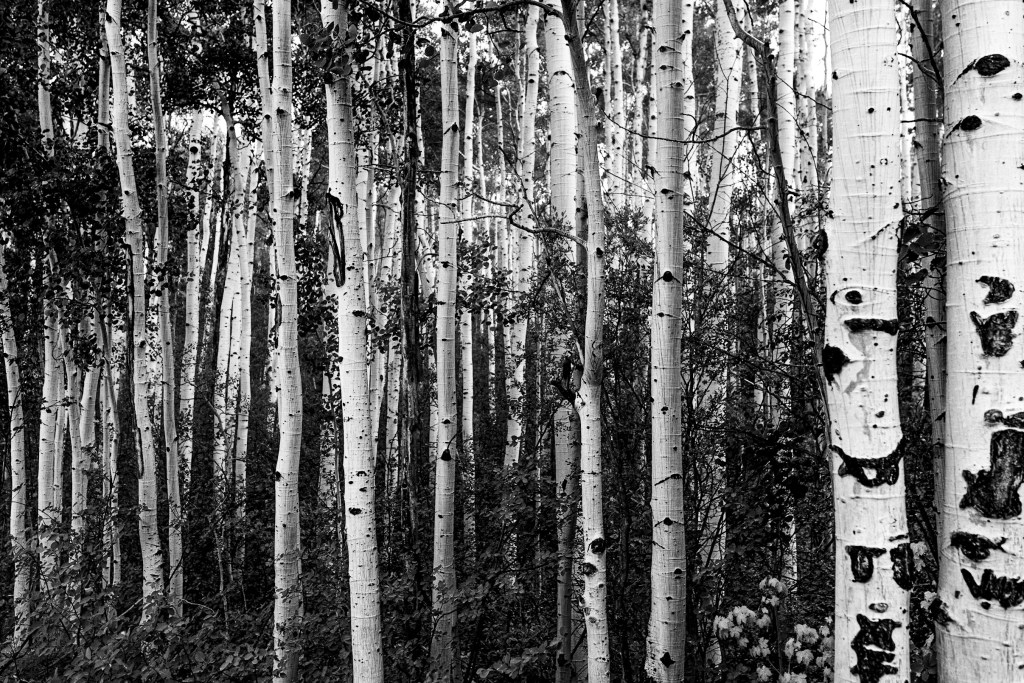 as far as you can see: it’s all you need to&nbsp;see