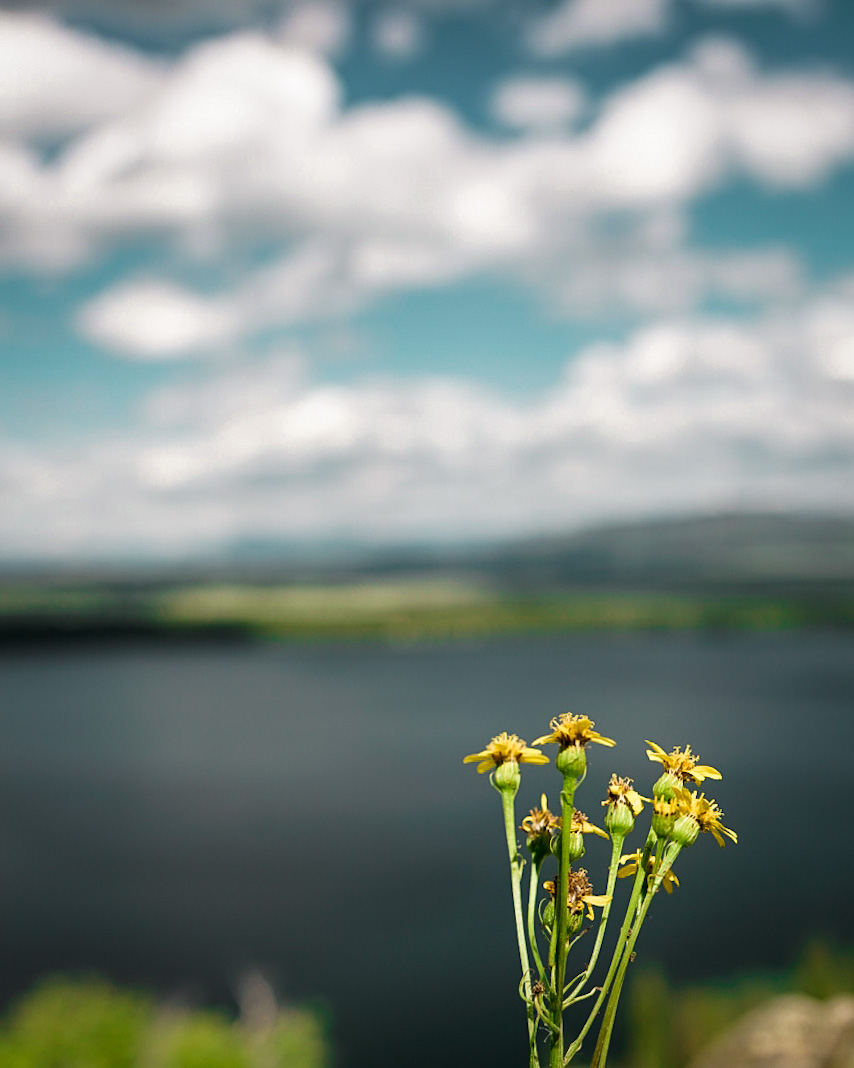 just beyond jackson&nbsp;hole